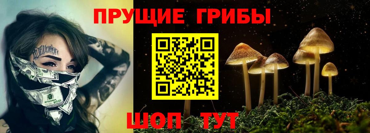 Новороссийск  Псилоцибиновые грибы мухоморы  Псилоцибиновые грибы Psilocybe  Вход с VPN 